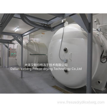 Vacuum Freeze-drying Equipment  125